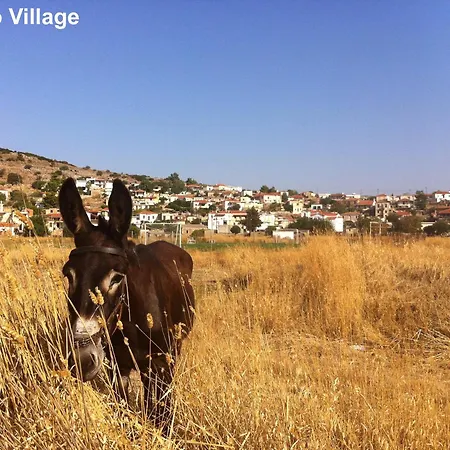 ヴィラ Serene In Authentic Village Argiro